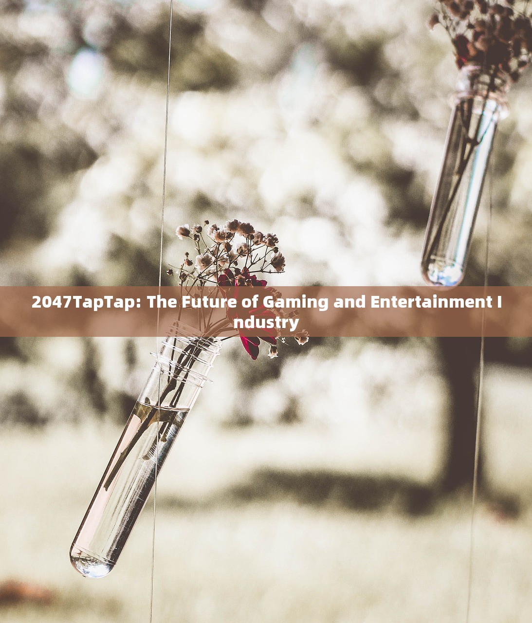 2047TapTap: The Future of Gaming and Entertainment Industry