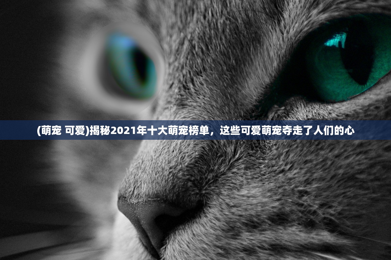 (萌宠 可爱)揭秘2021年十大萌宠榜单，这些可爱萌宠夺走了人们的心