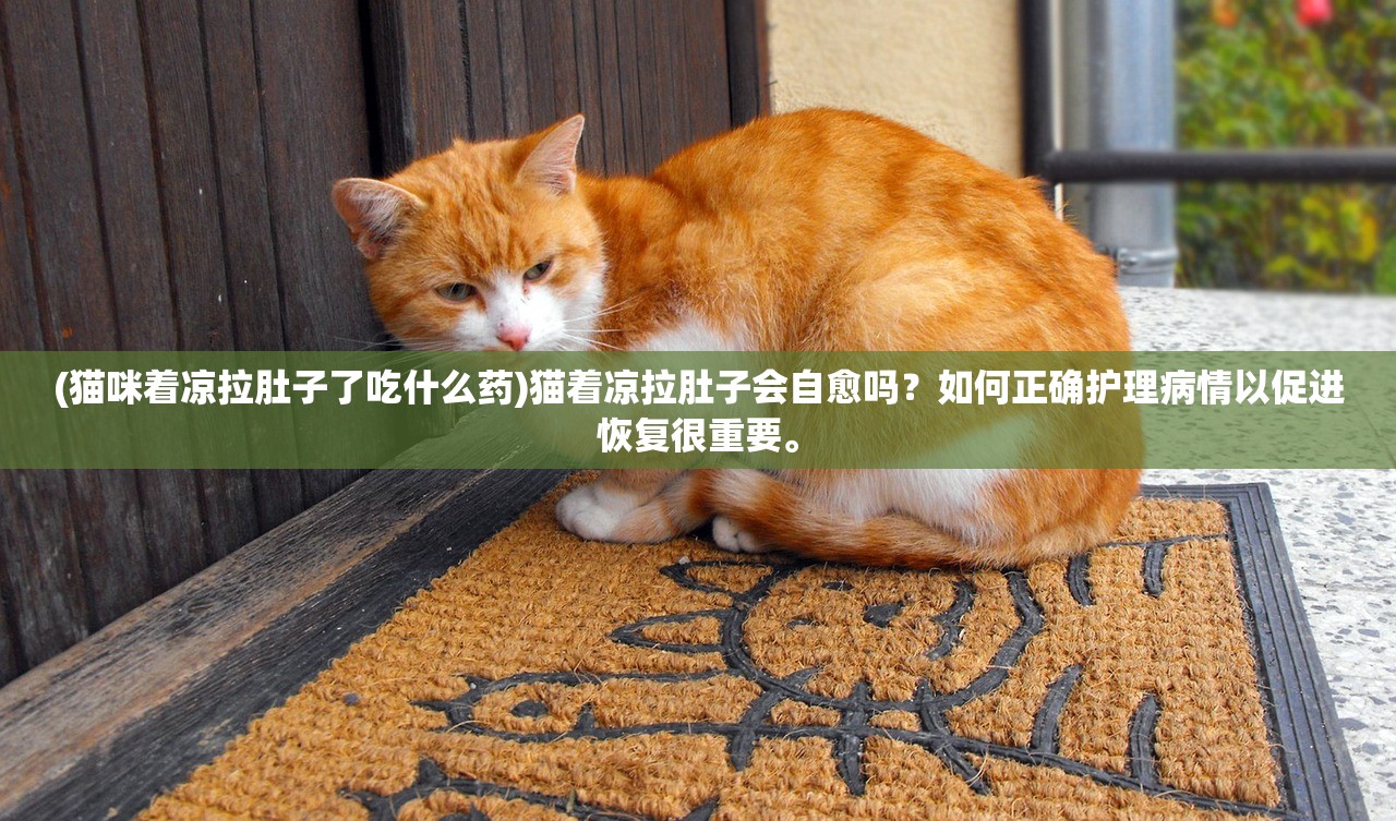 (猫咪着凉拉肚子了吃什么药)猫着凉拉肚子会自愈吗？如何正确护理病情以促进恢复很重要。