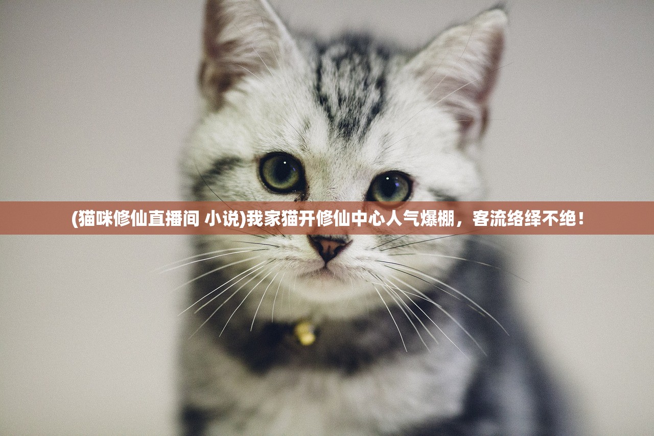 (猫咪修仙直播间 小说)我家猫开修仙中心人气爆棚，客流络绎不绝！