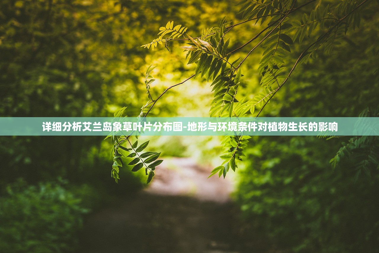 详细分析艾兰岛象草叶片分布图-地形与环境条件对植物生长的影响