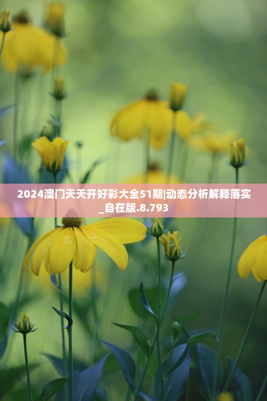 2024澳门天天开好彩大全51期|动态分析解释落实_自在版.8.793