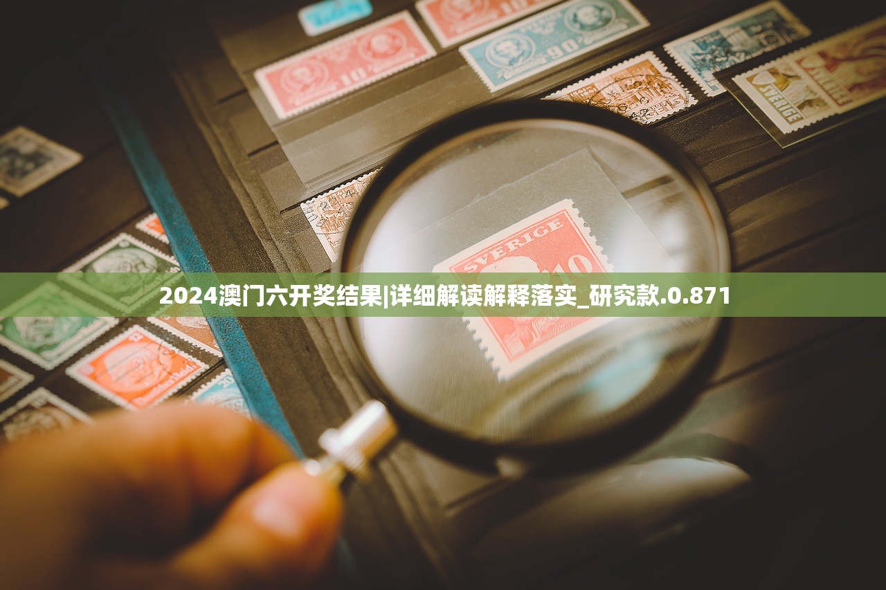 2024澳门六开奖结果|详细解读解释落实_研究款.0.871