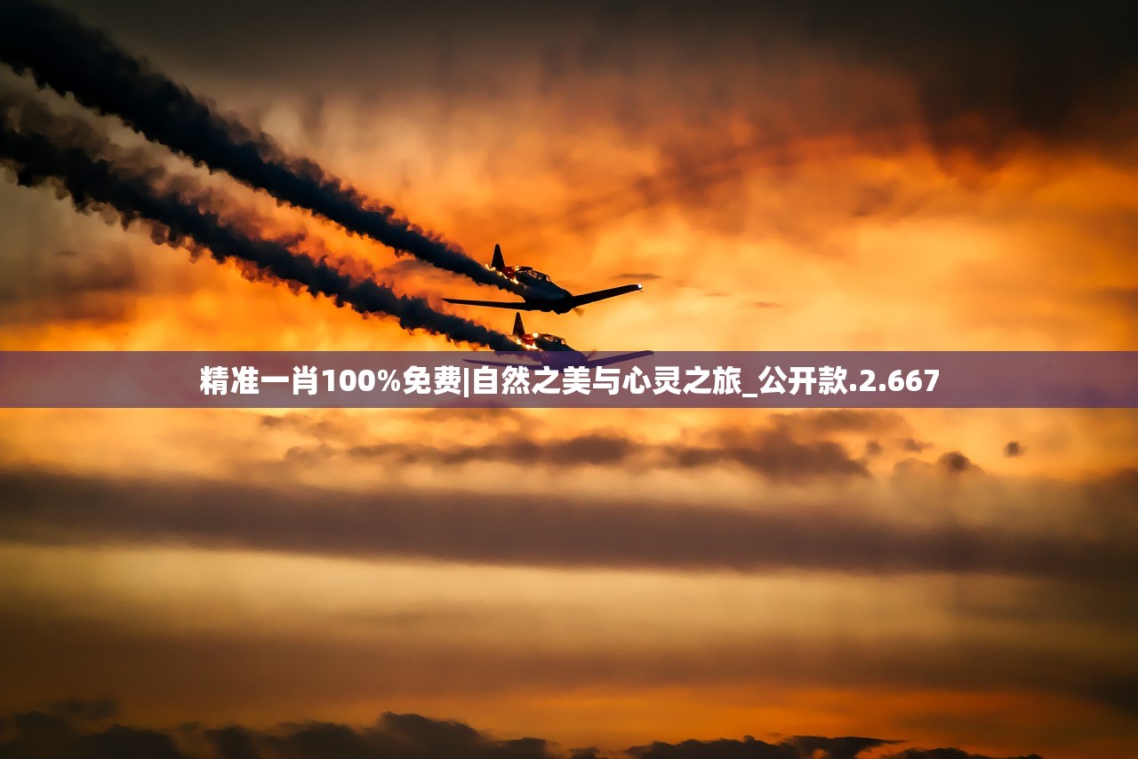 精准一肖100%免费|自然之美与心灵之旅_公开款.2.667