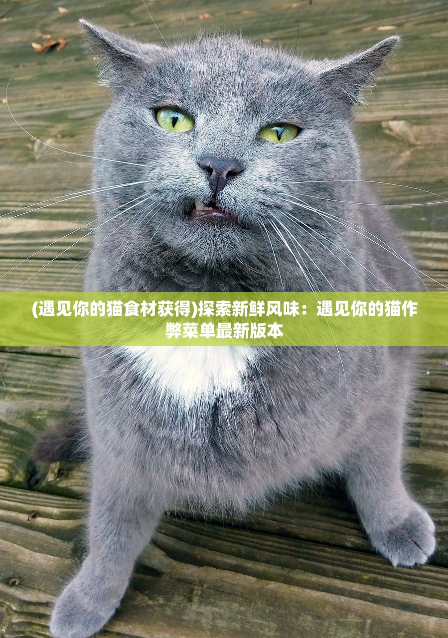 (遇见你的猫食材获得)探索新鲜风味：遇见你的猫作弊菜单最新版本