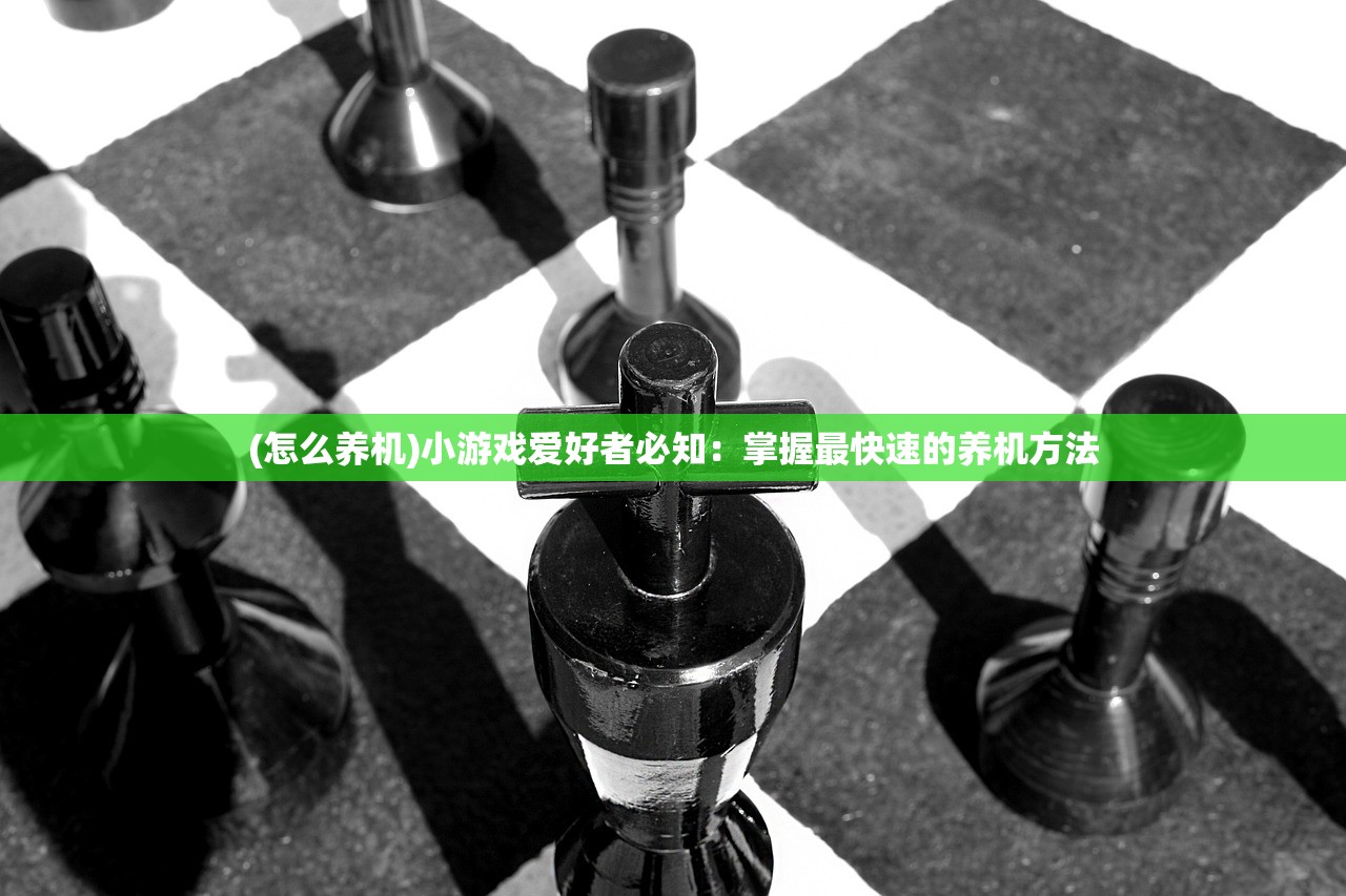 (怎么养机)小游戏爱好者必知：掌握最快速的养机方法