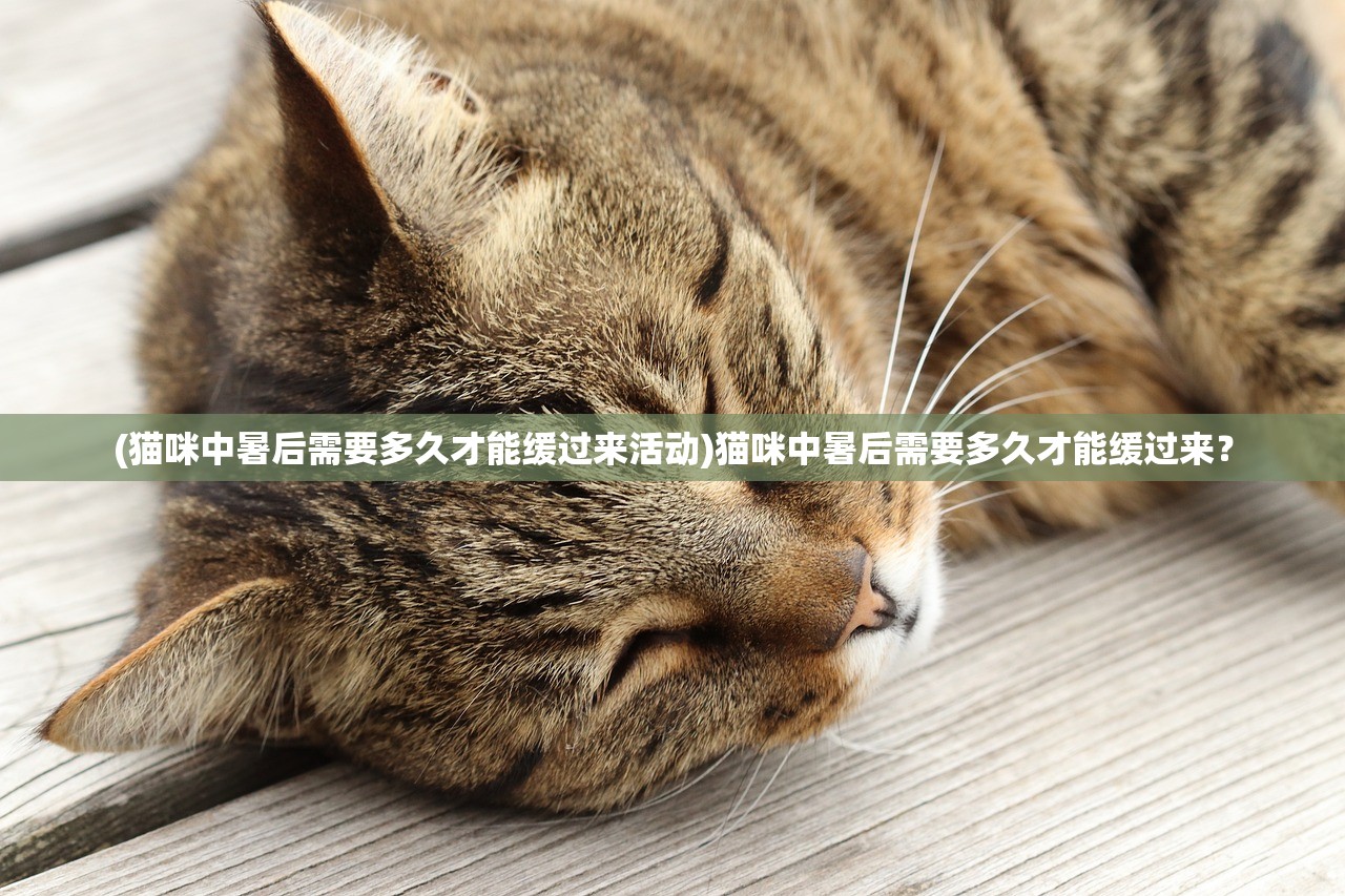 (猫咪中暑后需要多久才能缓过来活动)猫咪中暑后需要多久才能缓过来？