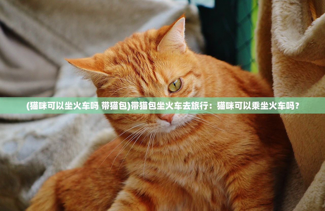 (猫咪可以坐火车吗 带猫包)带猫包坐火车去旅行：猫咪可以乘坐火车吗？