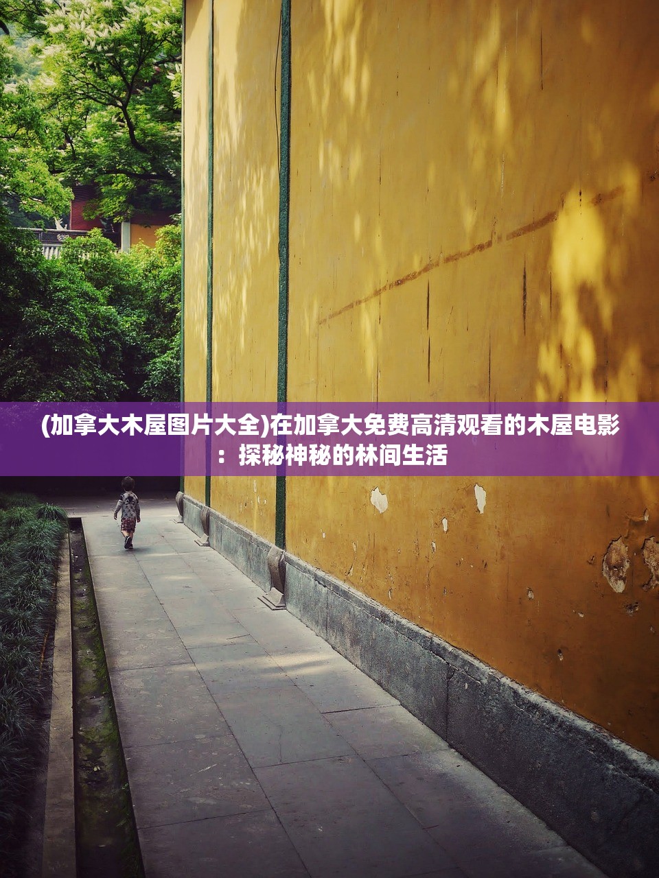 (石器时代之寻找传说中的宠物)探索石器时代：新手攻略大全，带你揭秘史前文明的奥秘