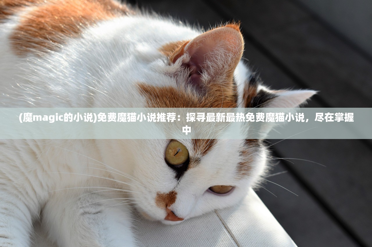 (魔magic的小说)免费魔猫小说推荐：探寻最新最热免费魔猫小说，尽在掌握中