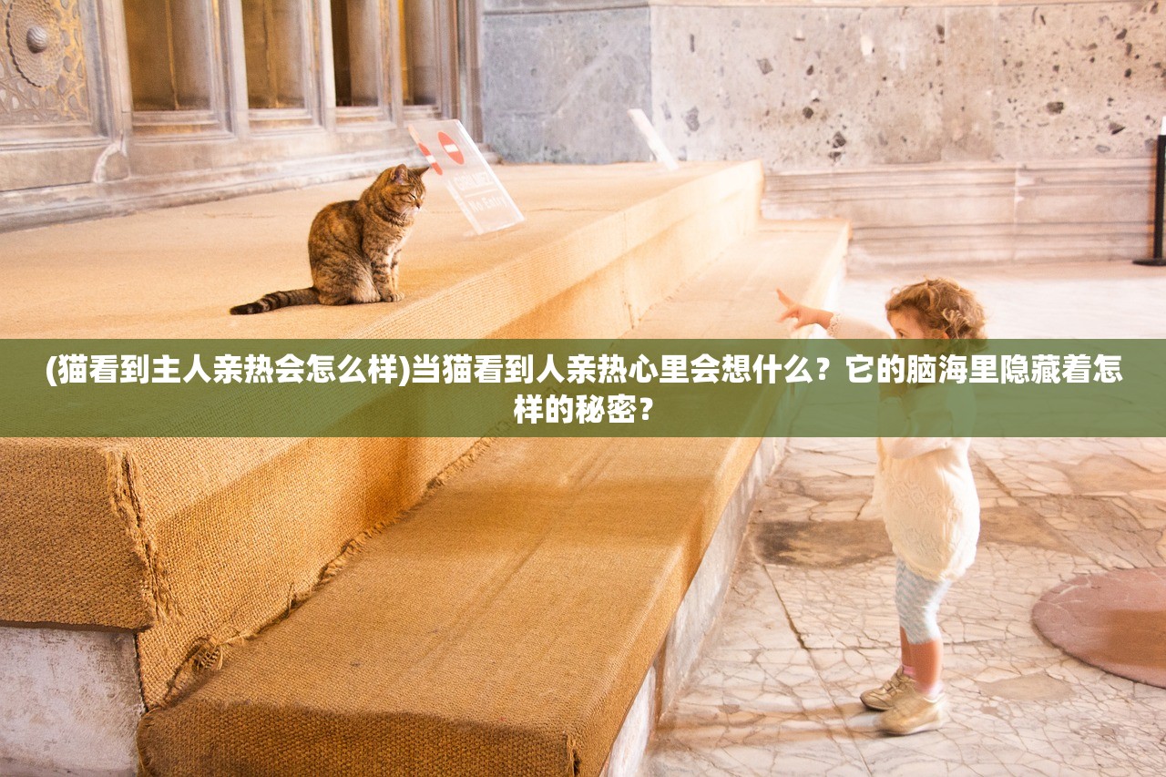 (猫看到主人亲热会怎么样)当猫看到人亲热心里会想什么？它的脑海里隐藏着怎样的秘密？