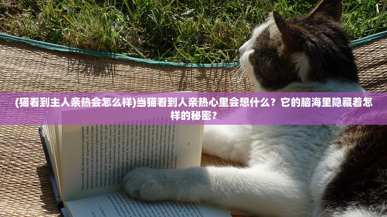 (猫看到主人亲热会怎么样)当猫看到人亲热心里会想什么？它的脑海里隐藏着怎样的秘密？