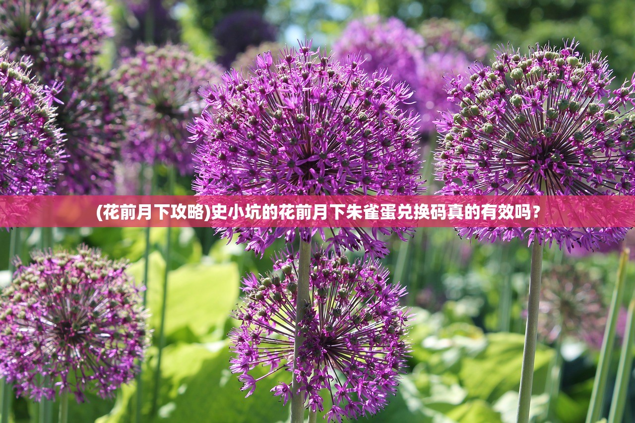 (花前月下攻略)史小坑的花前月下朱雀蛋兑换码真的有效吗？