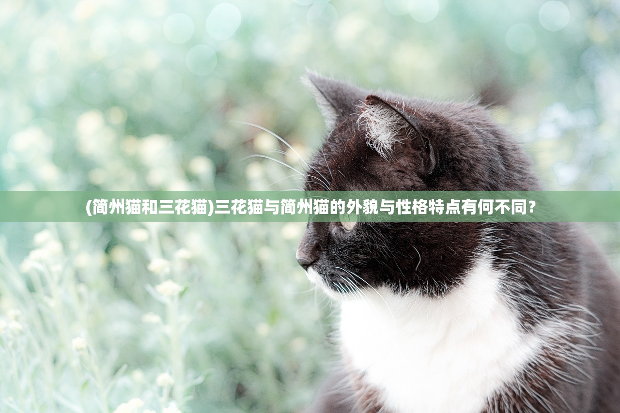 (简州猫和三花猫)三花猫与简州猫的外貌与性格特点有何不同？