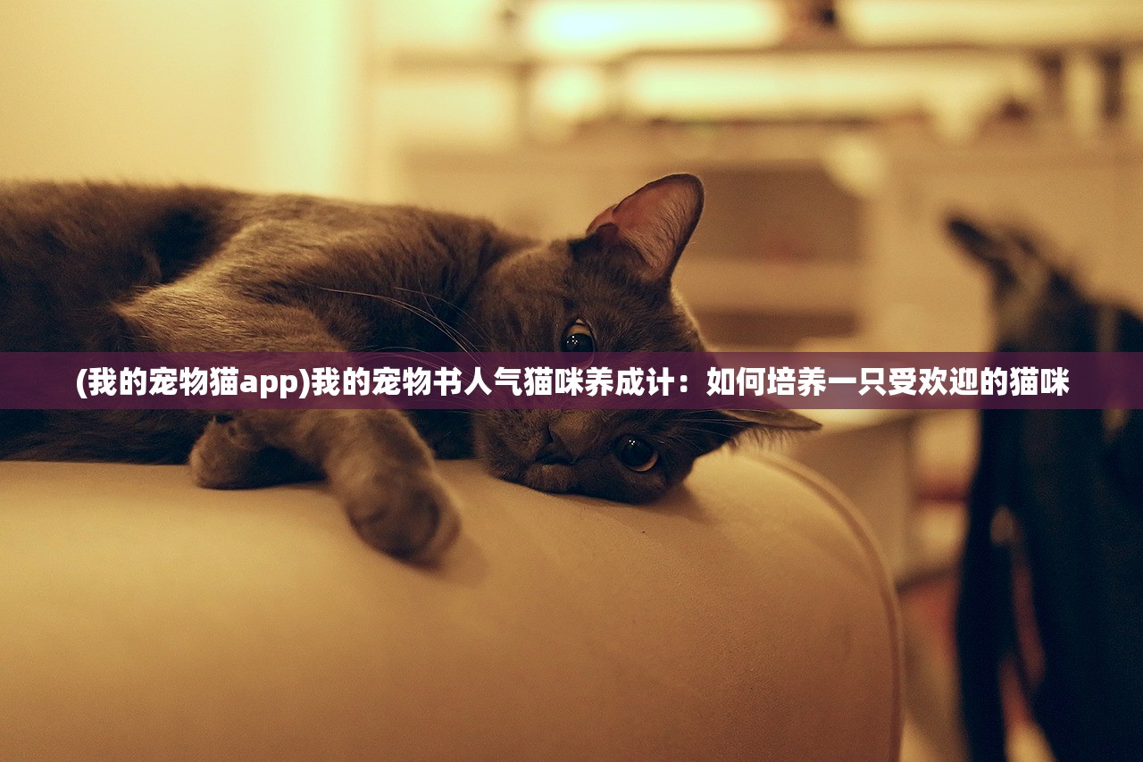 (我的宠物猫app)我的宠物书人气猫咪养成计：如何培养一只受欢迎的猫咪