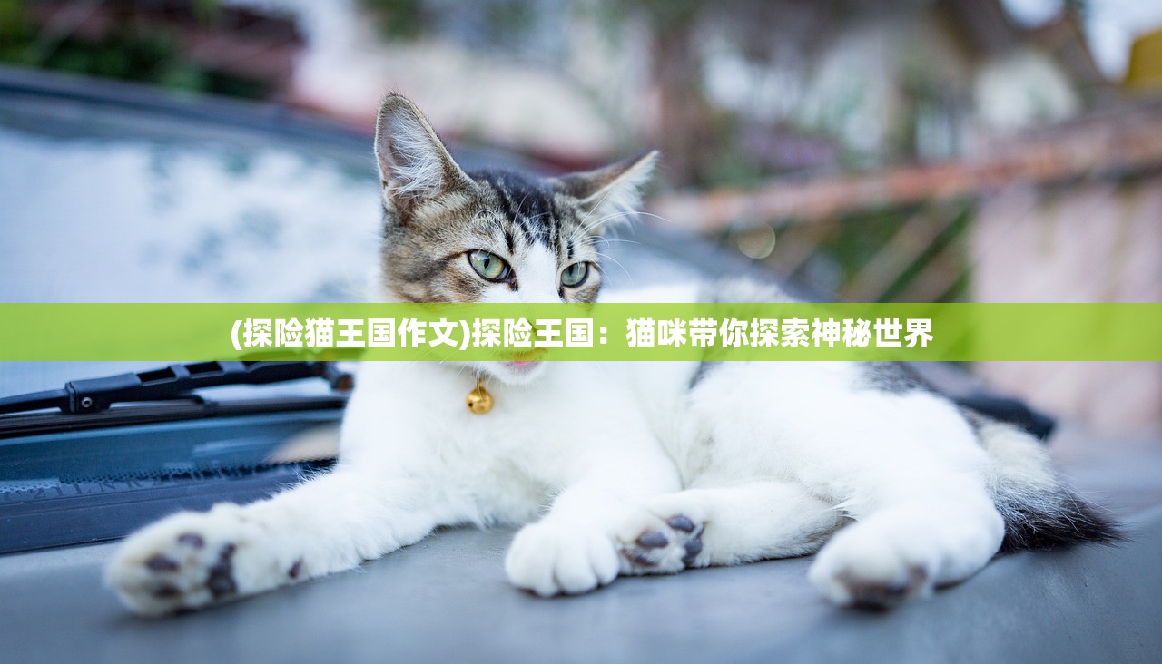 (探险猫王国作文)探险王国：猫咪带你探索神秘世界