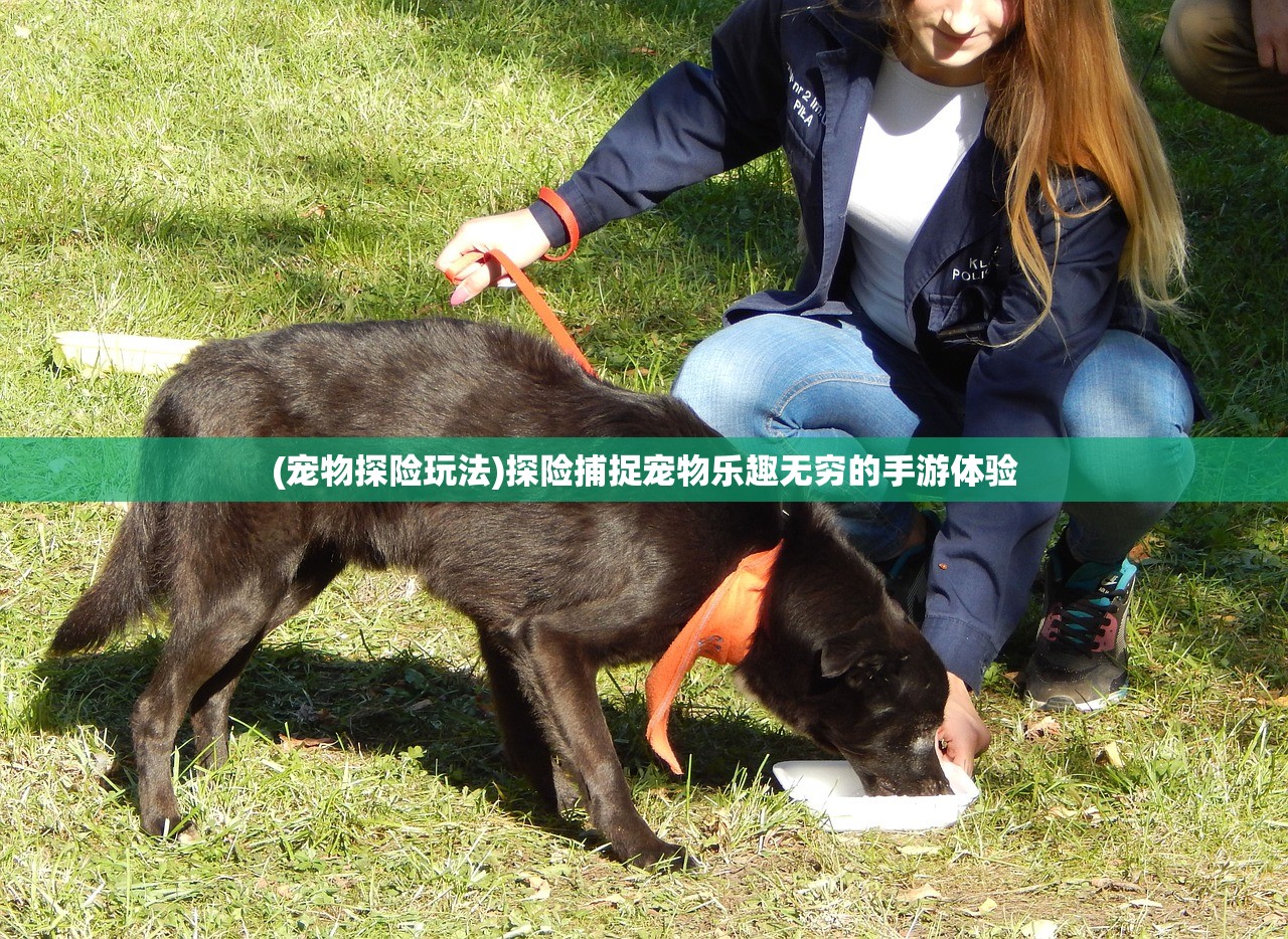 (宠物探险玩法)探险捕捉宠物乐趣无穷的手游体验