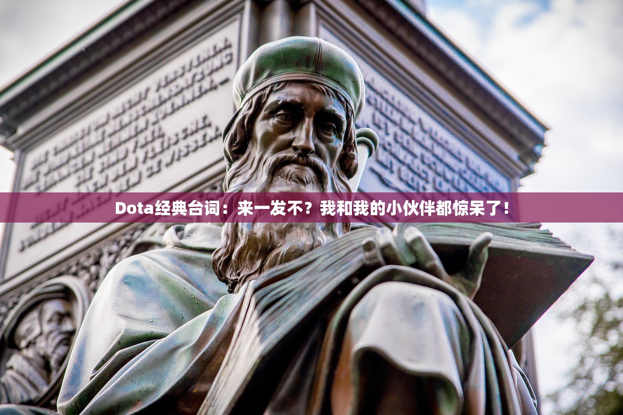 Dota经典台词：来一发不？我和我的小伙伴都惊呆了！