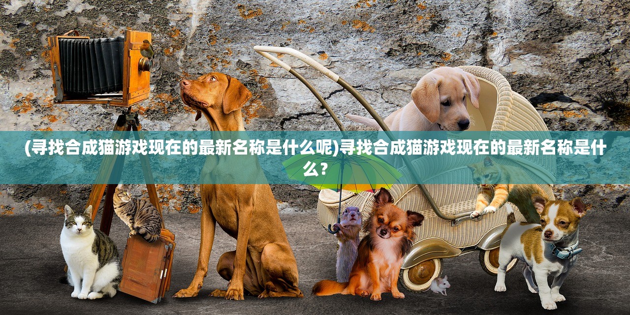 (寻找合成猫游戏现在的最新名称是什么呢)寻找合成猫游戏现在的最新名称是什么？