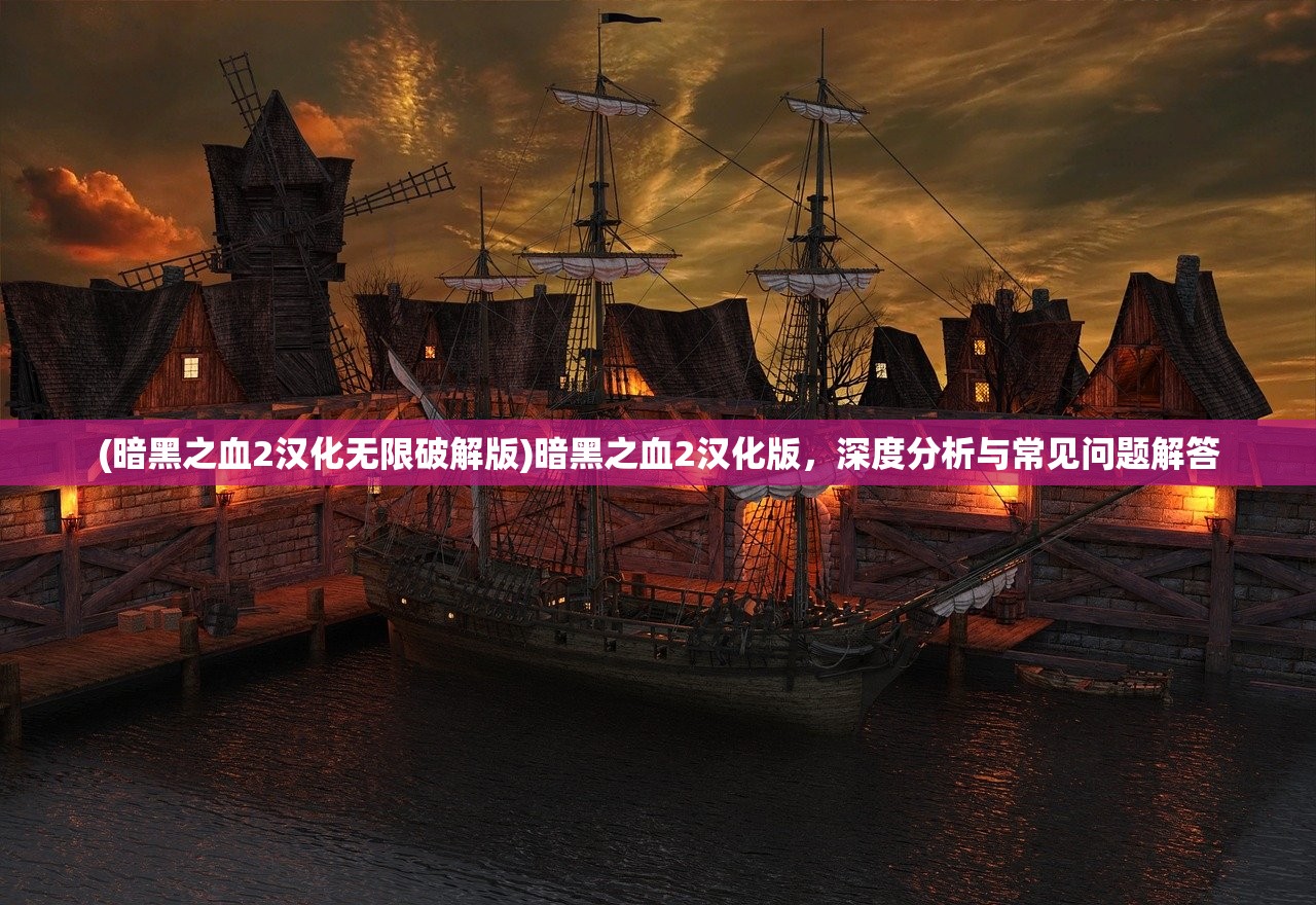 (暗黑之血2汉化无限破解版)暗黑之血2汉化版，深度分析与常见问题解答