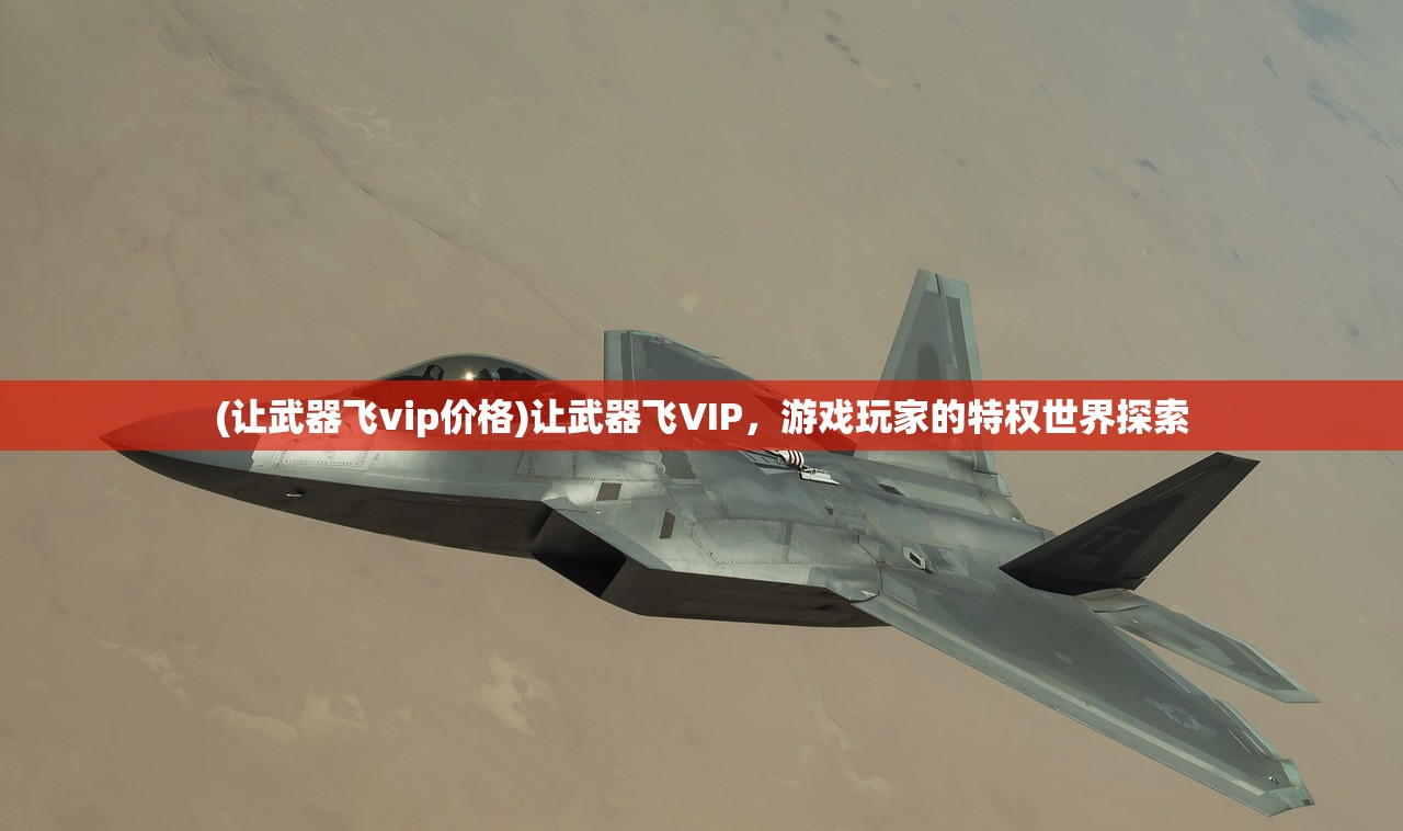 (让武器飞vip价格)让武器飞VIP，游戏玩家的特权世界探索