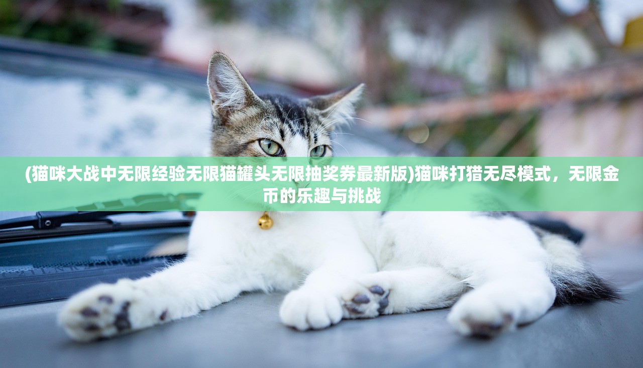 (猫咪大战中无限经验无限猫罐头无限抽奖券最新版)猫咪打猎无尽模式，无限金币的乐趣与挑战