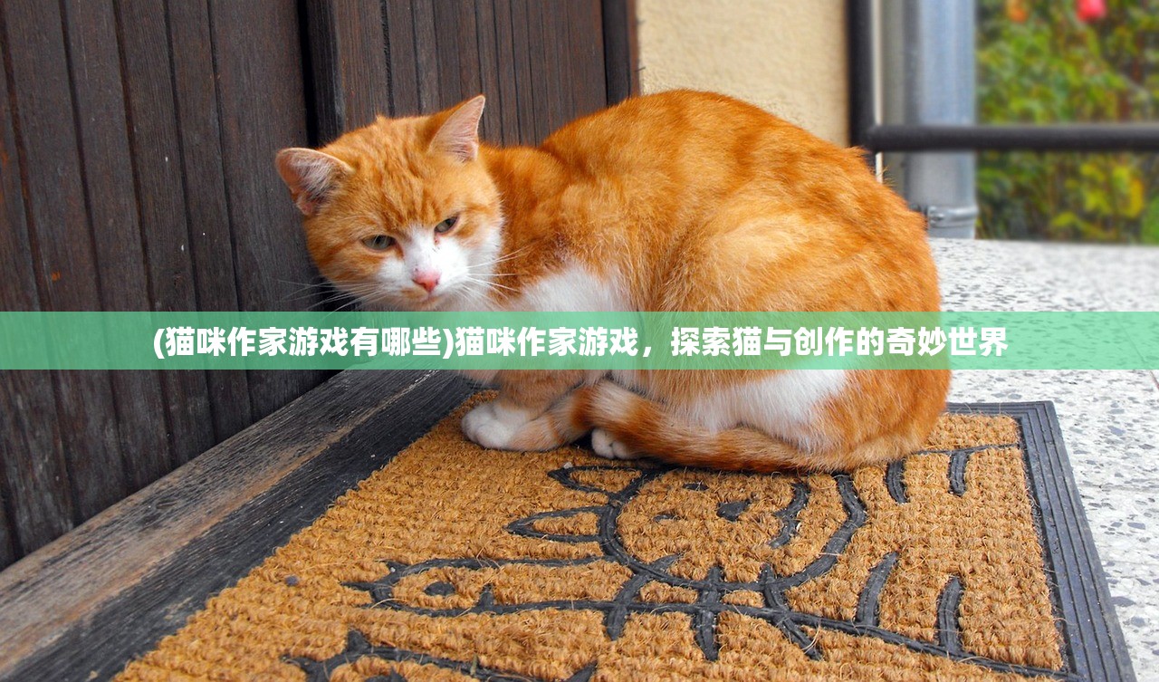 (猫咪作家游戏有哪些)猫咪作家游戏，探索猫与创作的奇妙世界