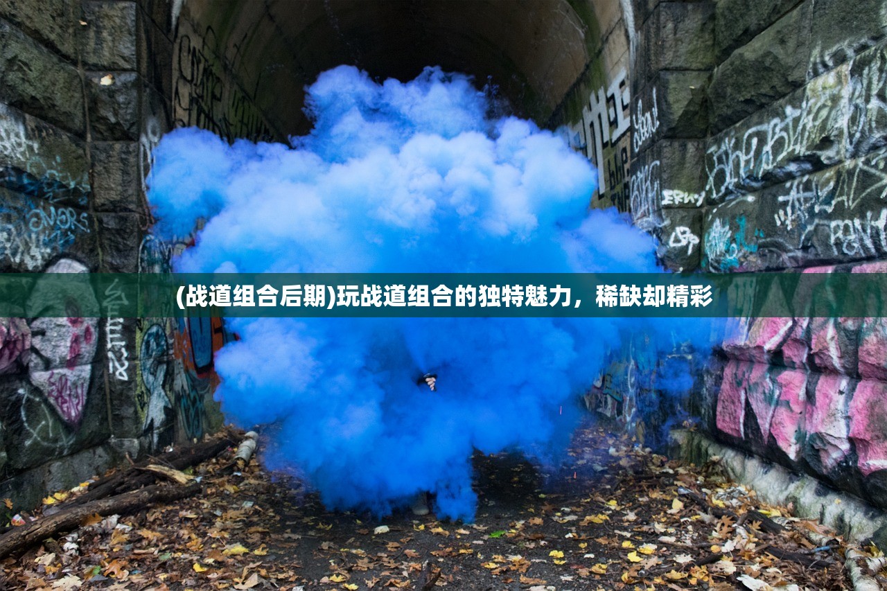 (战道组合后期)玩战道组合的独特魅力，稀缺却精彩