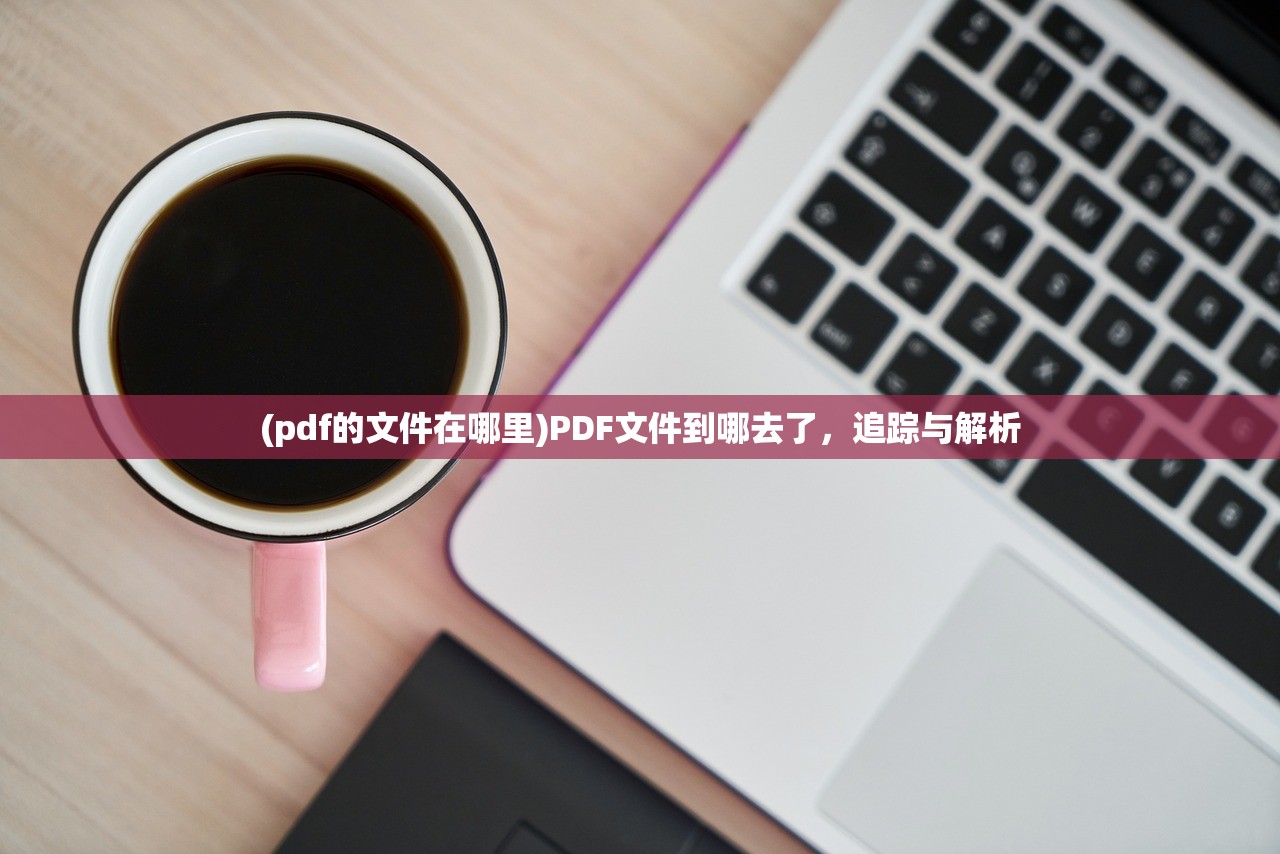 (pdf的文件在哪里)PDF文件到哪去了，追踪与解析