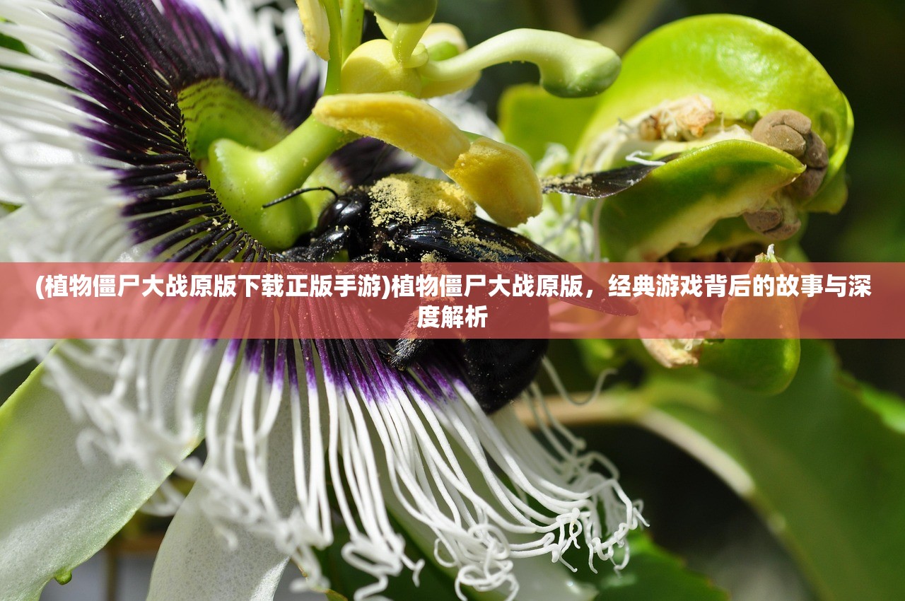 (植物僵尸大战原版下载正版手游)植物僵尸大战原版，经典游戏背后的故事与深度解析