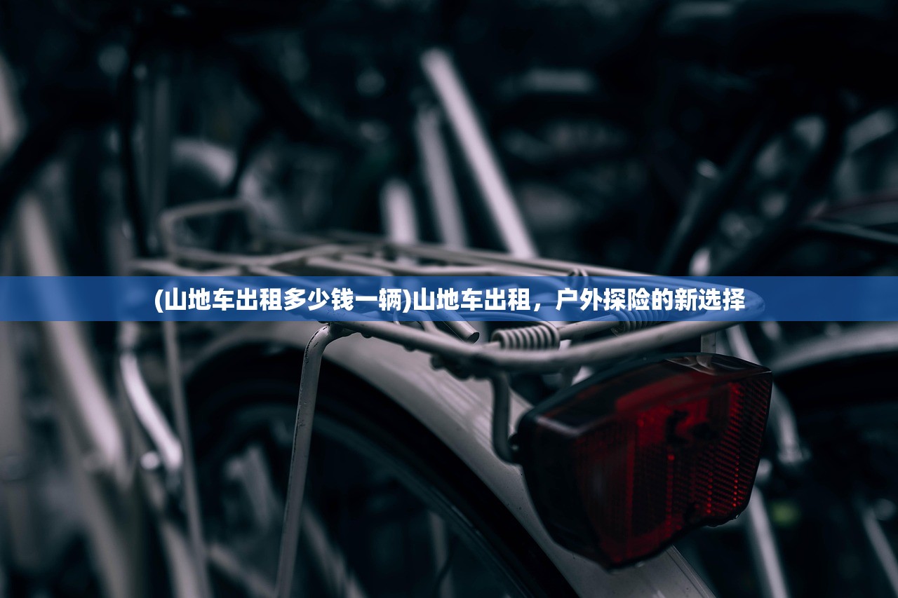 (山地车出租多少钱一辆)山地车出租，户外探险的新选择