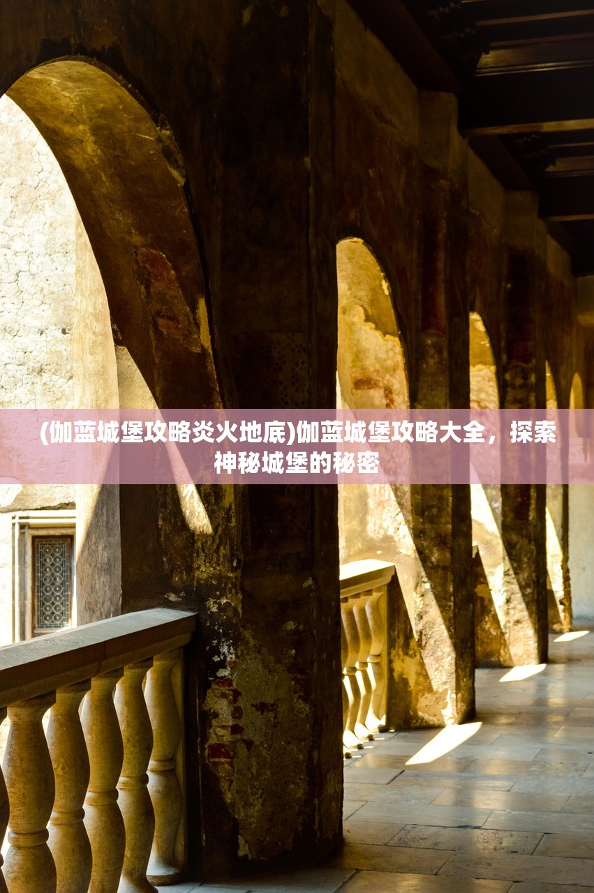 (伽蓝城堡攻略炎火地底)伽蓝城堡攻略大全，探索神秘城堡的秘密