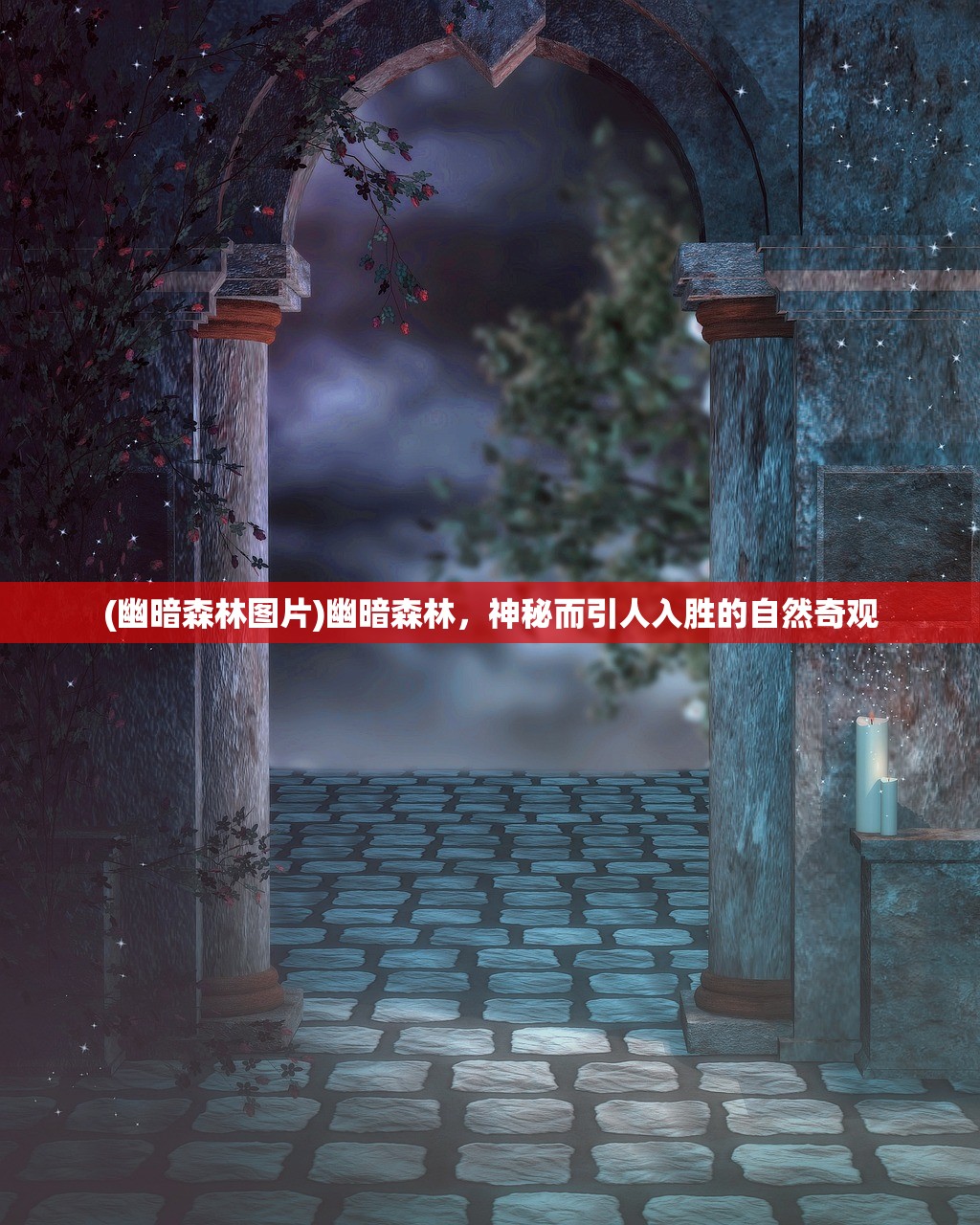 (幽暗森林图片)幽暗森林，神秘而引人入胜的自然奇观