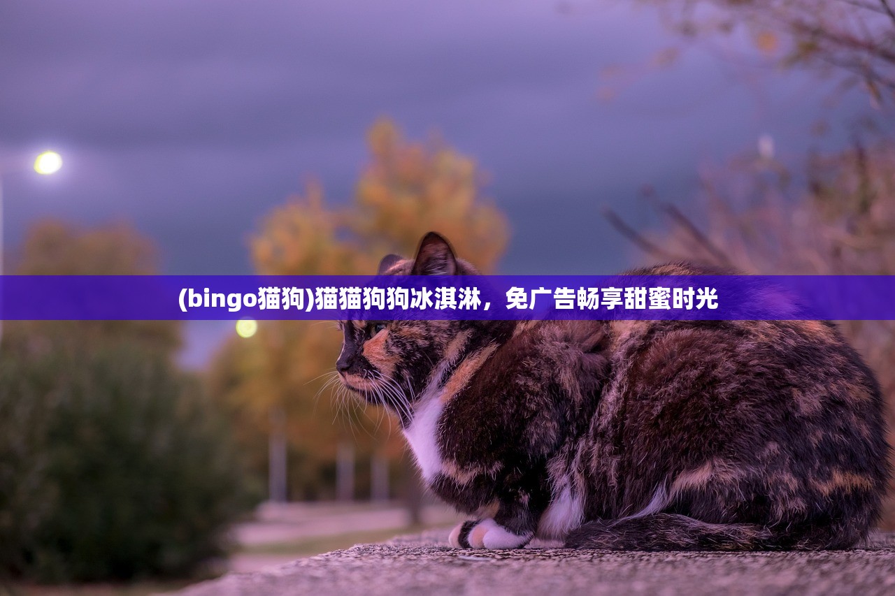 (bingo猫狗)猫猫狗狗冰淇淋，免广告畅享甜蜜时光