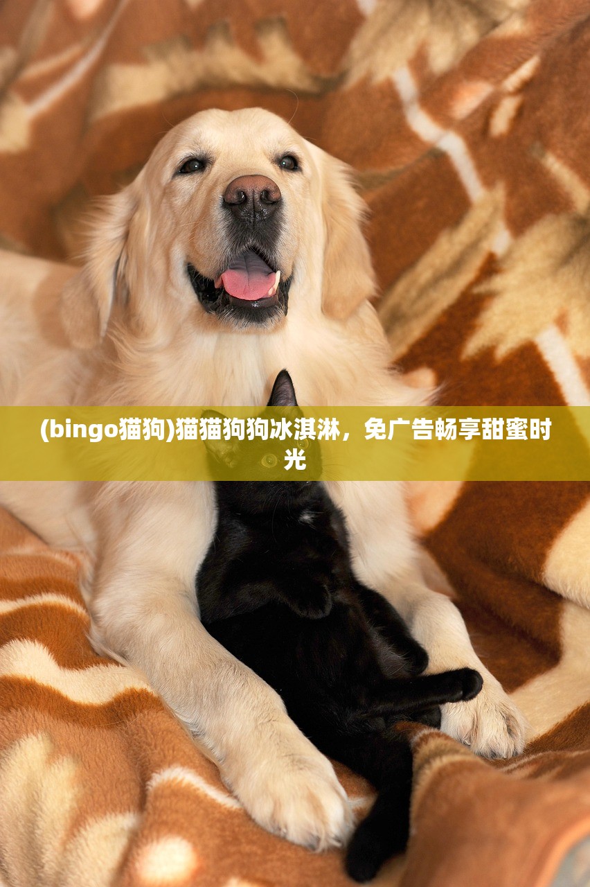 (bingo猫狗)猫猫狗狗冰淇淋，免广告畅享甜蜜时光