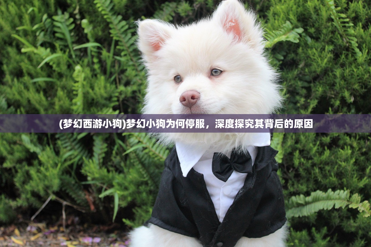 (梦幻西游小狗)梦幻小狗为何停服，深度探究其背后的原因