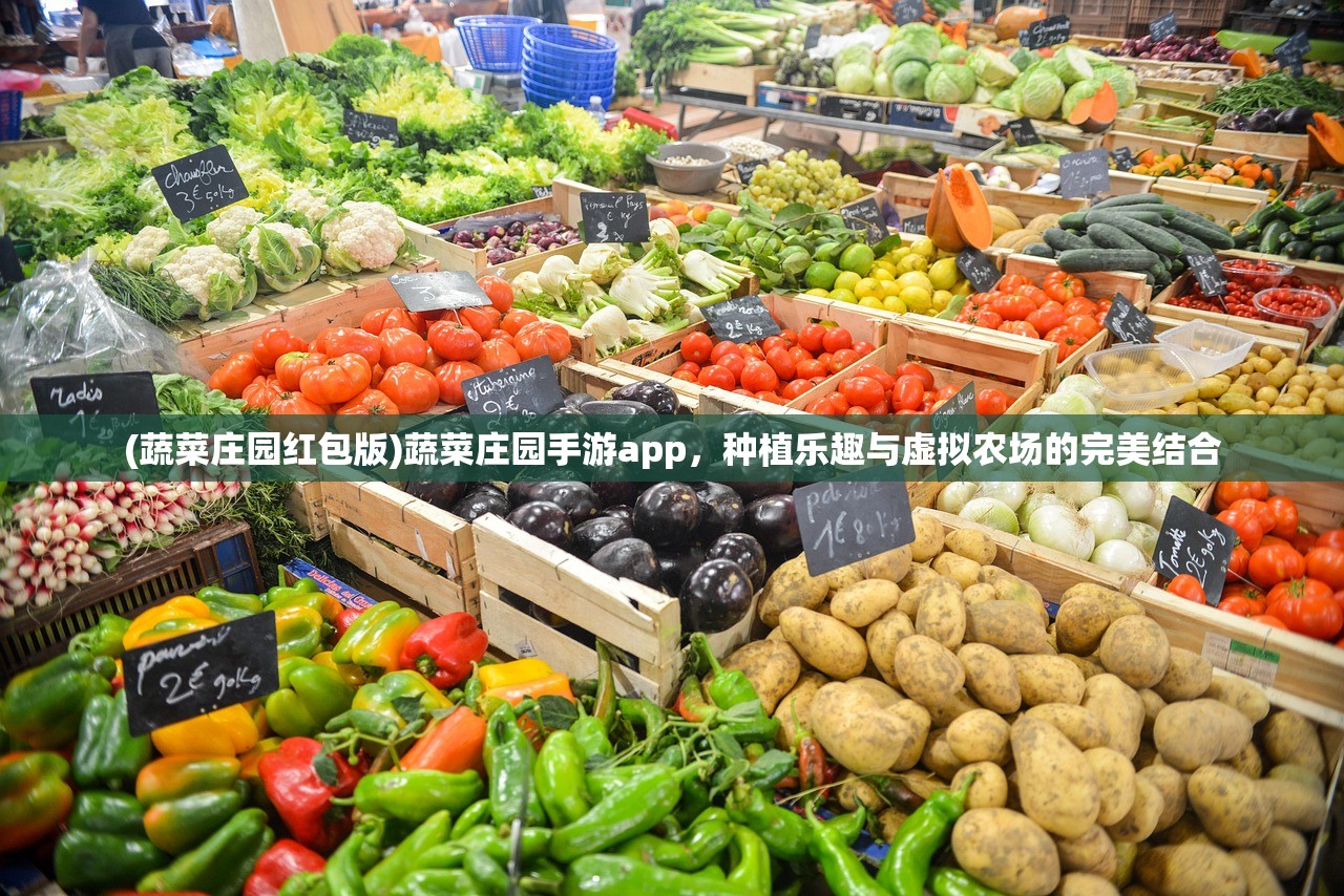 (蔬菜庄园红包版)蔬菜庄园手游app，种植乐趣与虚拟农场的完美结合
