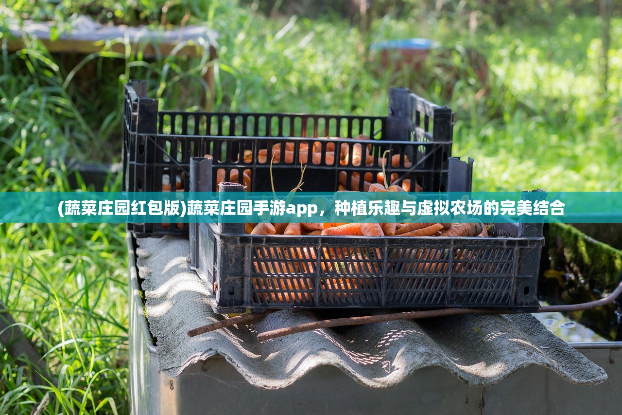 (蔬菜庄园红包版)蔬菜庄园手游app，种植乐趣与虚拟农场的完美结合