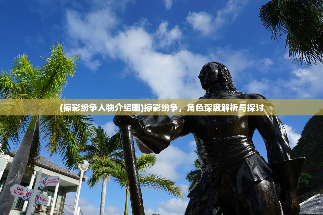 (掠影纷争人物介绍图)掠影纷争，角色深度解析与探讨