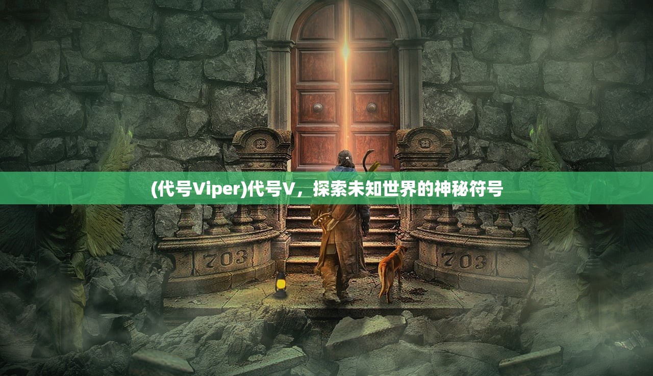 (代号Viper)代号V，探索未知世界的神秘符号