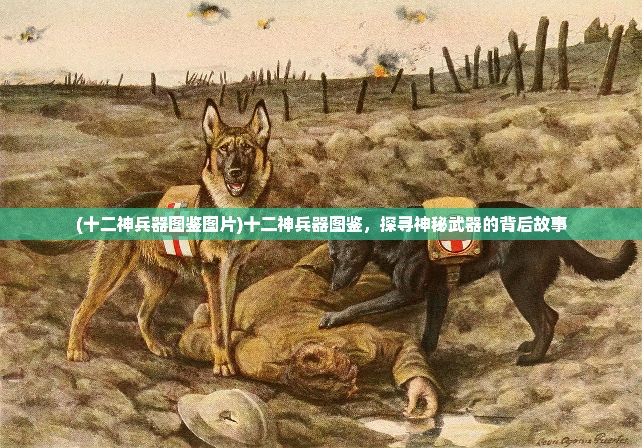 (十二神兵器图鉴图片)十二神兵器图鉴，探寻神秘武器的背后故事