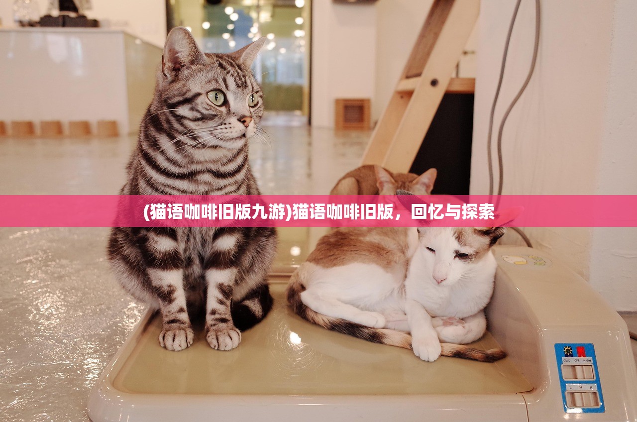 (猫语咖啡旧版九游)猫语咖啡旧版，回忆与探索