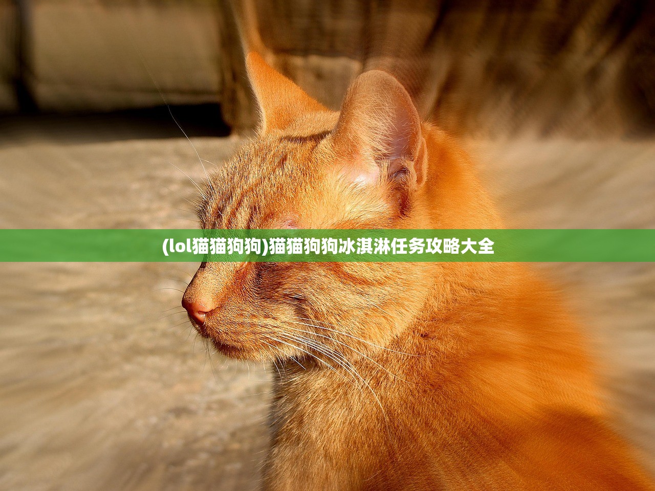 (lol猫猫狗狗)猫猫狗狗冰淇淋任务攻略大全