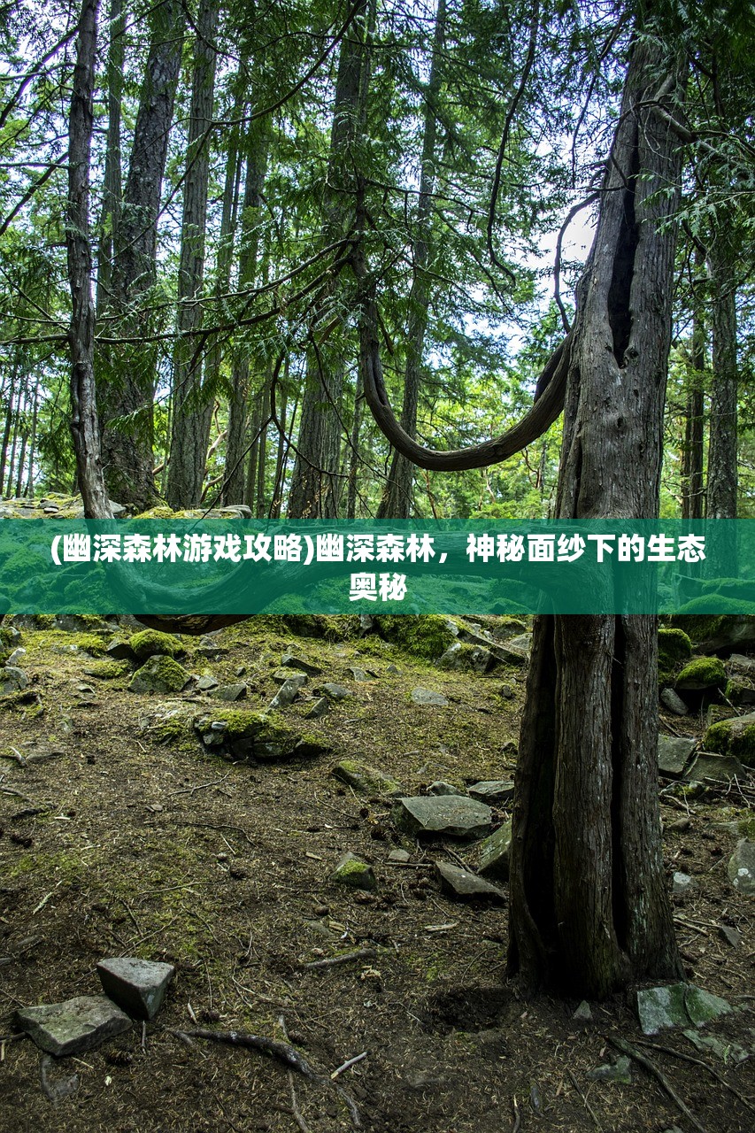 (幽深森林游戏攻略)幽深森林，神秘面纱下的生态奥秘