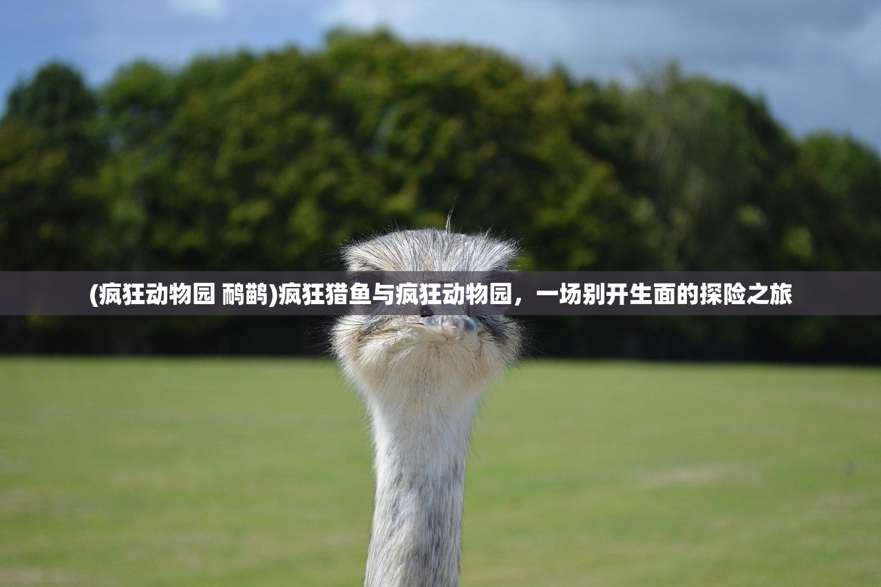 (疯狂动物园 鸸鹋)疯狂猎鱼与疯狂动物园，一场别开生面的探险之旅