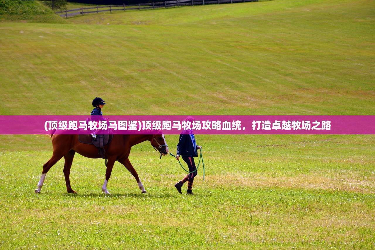 (顶级跑马牧场马图鉴)顶级跑马牧场攻略血统，打造卓越牧场之路