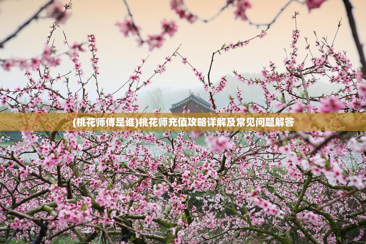 (桃花师傅是谁)桃花师充值攻略详解及常见问题解答