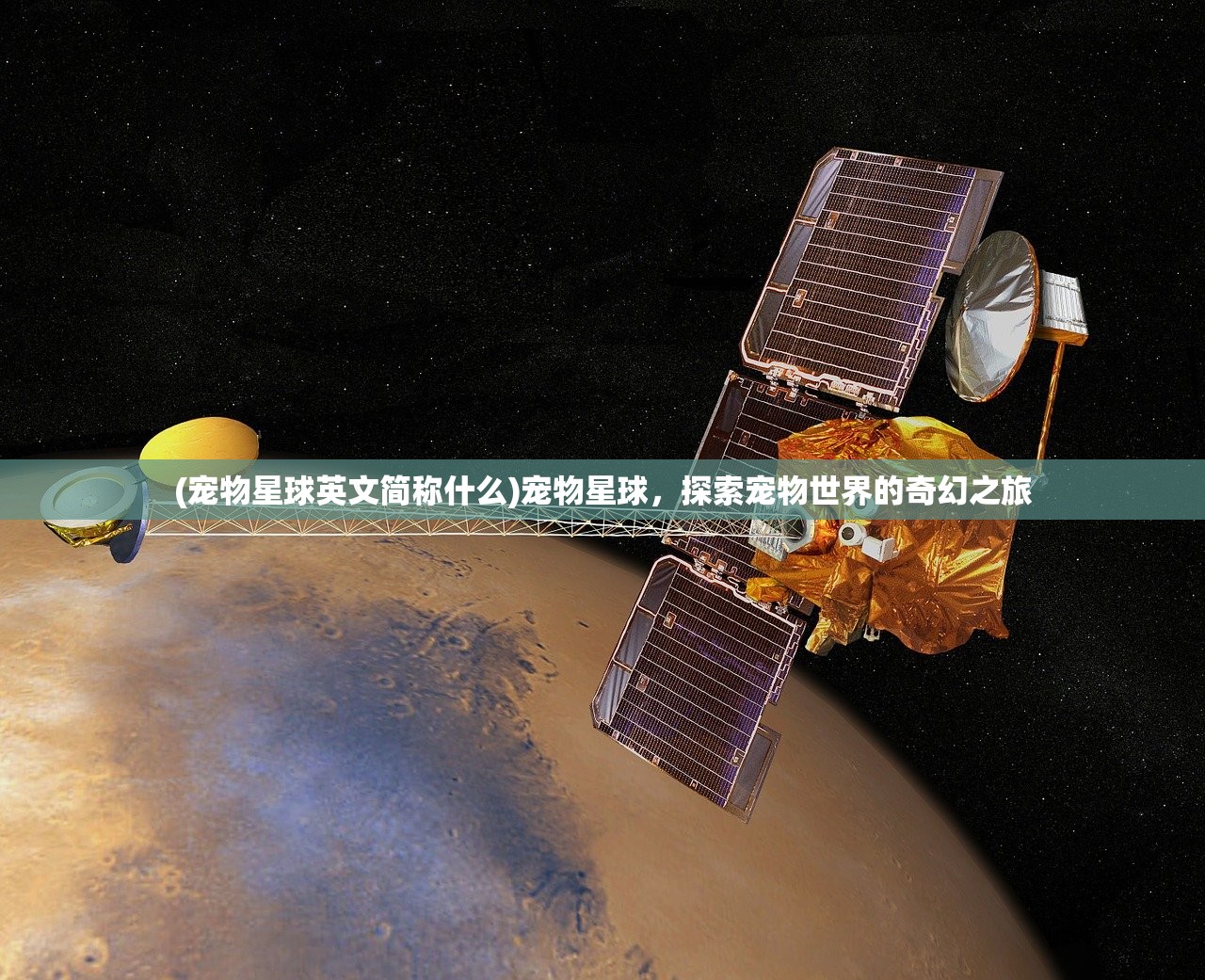 (宠物星球英文简称什么)宠物星球，探索宠物世界的奇幻之旅