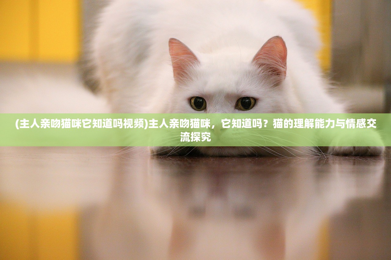 (主人亲吻猫咪它知道吗视频)主人亲吻猫咪，它知道吗？猫的理解能力与情感交流探究