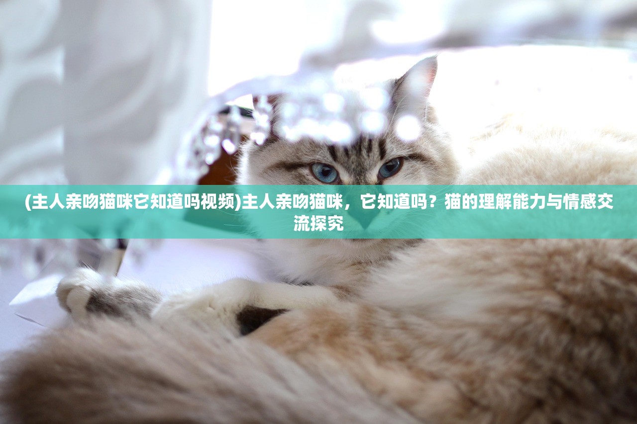 (主人亲吻猫咪它知道吗视频)主人亲吻猫咪，它知道吗？猫的理解能力与情感交流探究